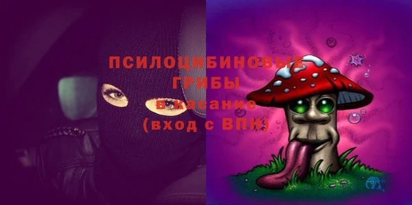 PSILOCYBIN Беломорск